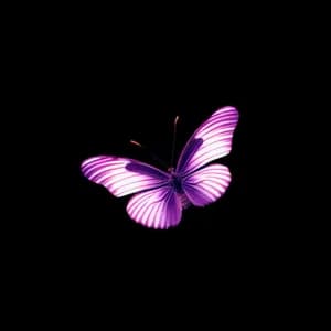 The Metamodern avatar