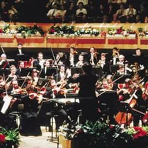 BBC National Orchestra of Wales avatar