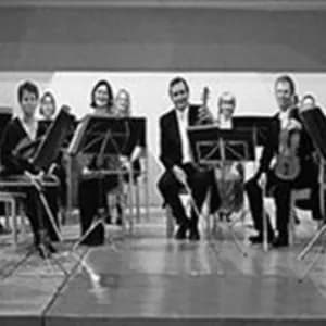 Nicolaus Esterházy Sinfonia avatar