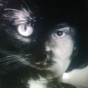 Imaginary Softwoods avatar