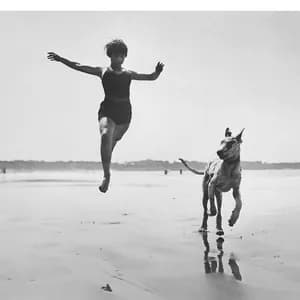 Lost Horizons avatar