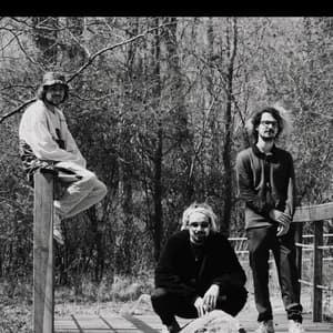 Ocean’s on Arrival avatar