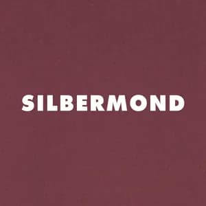 Silbermond avatar