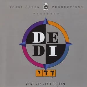 דדי גראוכר avatar