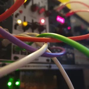 Caught in the Wake Forever avatar