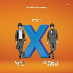 Yochi Briskman avatar