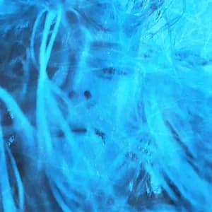 Carlyne Poizeau avatar