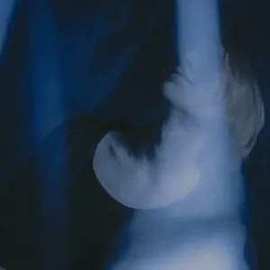 Gleb Kolyadin avatar