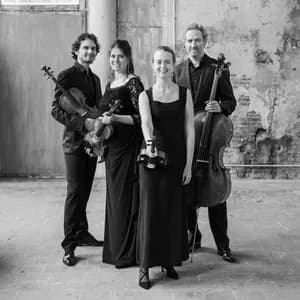 Quatuor Alfama avatar