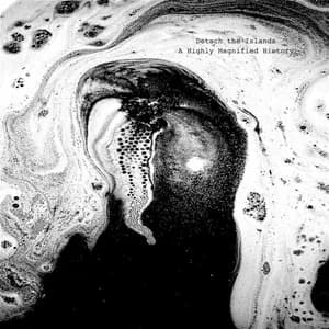 Detach the Islands avatar