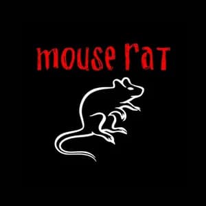 Mouse Rat avatar
