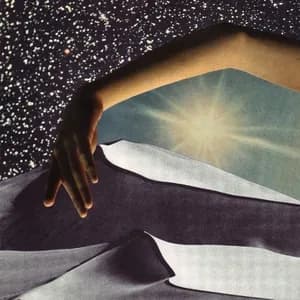 Steve Shelley avatar