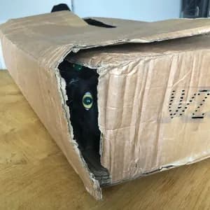 Valentina Magaletti avatar