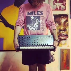 flamingo zamperoni avatar