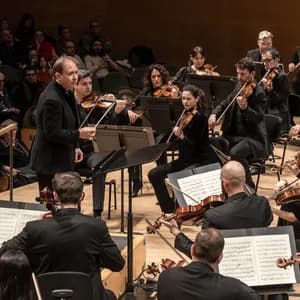 Orquestra Simfònica de Barcelona i Nacional de Catalunya avatar