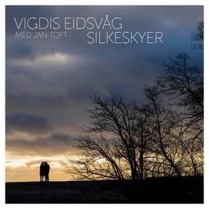 Vigdis Eidsvåg avatar
