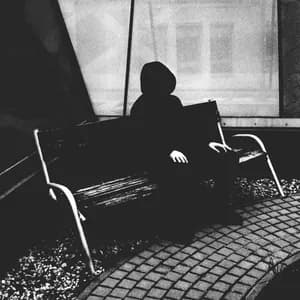 Moth Collector avatar