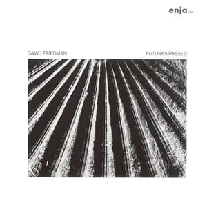 David Friedman avatar