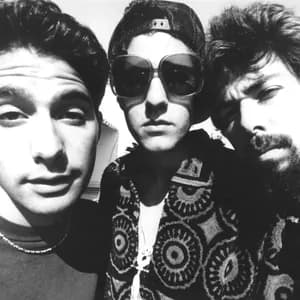 Beastie Boys avatar