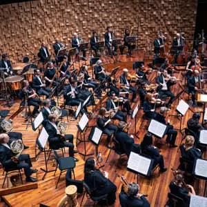 Tasmanian Symphony Orchestra avatar