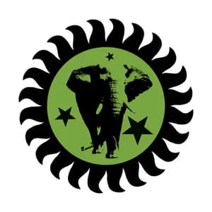 The Brand New Heavies avatar