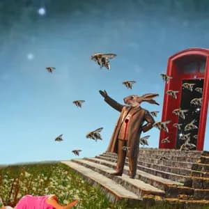 Holland Patent Public Library avatar