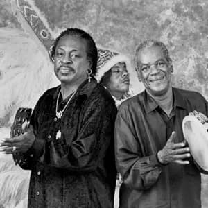 The Wild Magnolias avatar