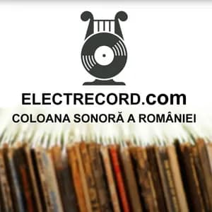 Zenaida Pally avatar