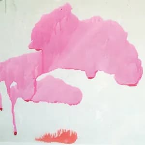 Matthew de Gennaro avatar