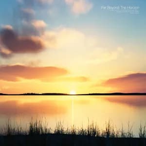 Shion Sakamoto avatar