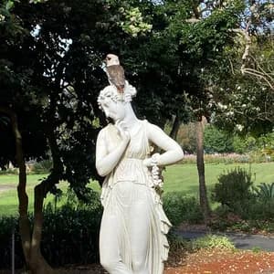 Stephanie McCallum avatar