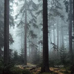 Oslo kammerkor avatar