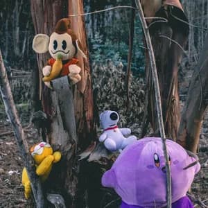 Tenis Regional avatar