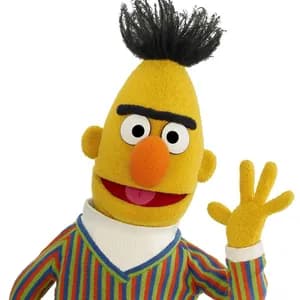 Bert avatar