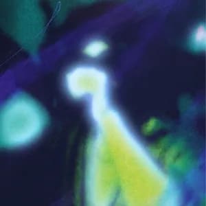 Nineteen Essences avatar