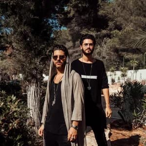 Birds of Mind avatar