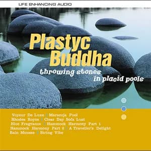 Plastyc Buddha avatar