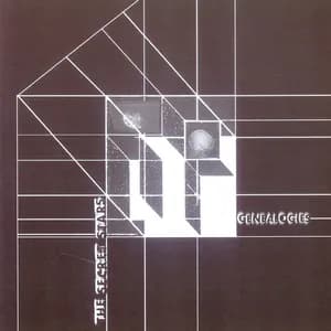 The Secret Stars avatar