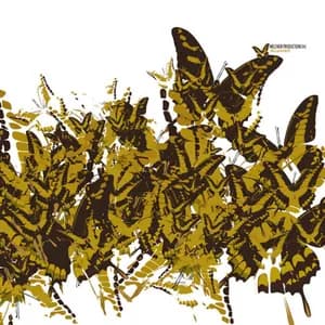 Melchior Productions avatar