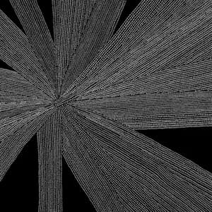 Amina Claudine Myers avatar