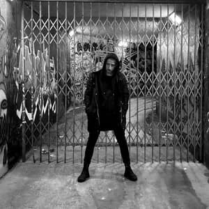 Lorenzo Papini avatar