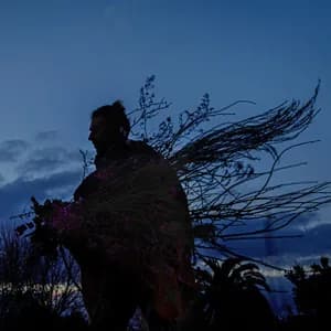 Palo Pandolfo avatar