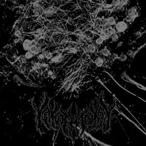 Ominous Scriptures avatar