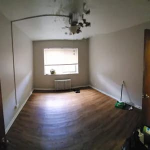 kill kill bite bite avatar