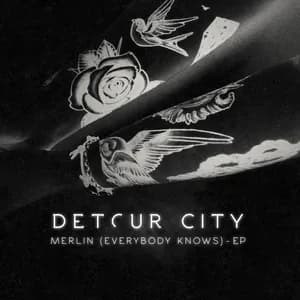 Detour City avatar