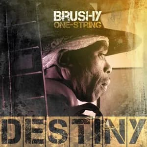 Brushy One String avatar