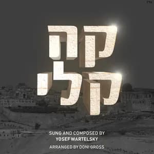 Yosef Wartelsky avatar