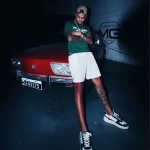 DJ Biel do Furduncinho avatar