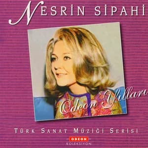 Nesrin Sipahi avatar