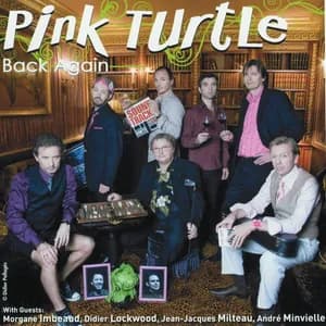 Pink Turtle avatar